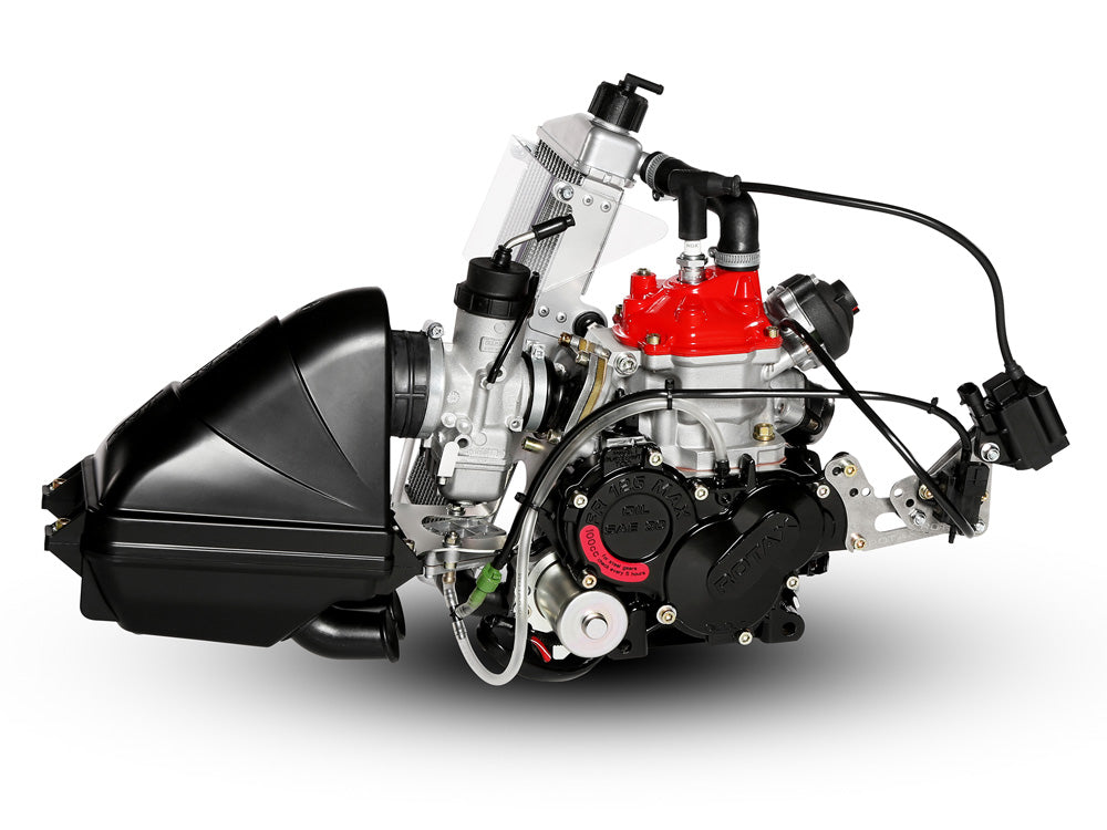 Rotax vs IAME X30
